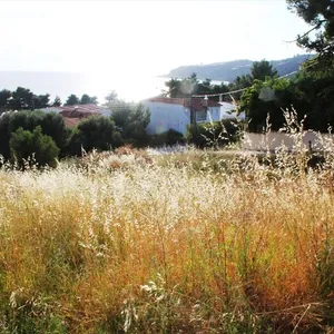 Земельный участок в Kassandra Municipality, фото 4