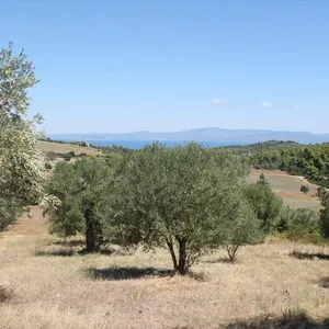 Земельный участок в Kassandra Municipality, фото 2
