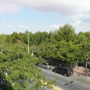 Квартира в Торревьеха, фото 2