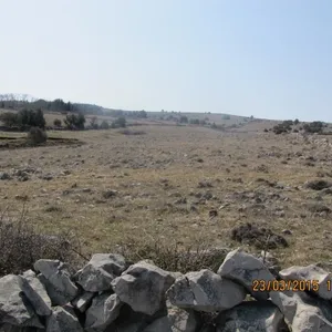 Земельный участок в Вир, фото 4