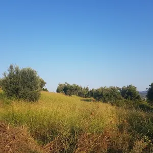 Земельный участок в Kassandra Municipality, фото 2
