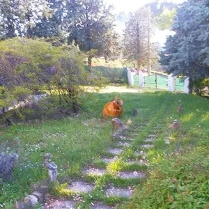 Квартира в Джеммано, фото 4