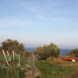 Земельный участок в Kassandra Municipality, фото 5