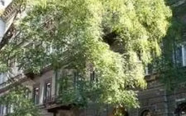 Квартира в Будапешт VII