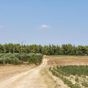 Земельный участок в Kassandra Municipality, фото 4