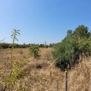 Земельный участок в Терми, фото 4