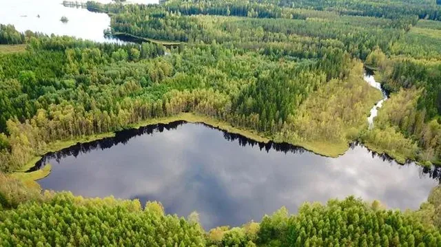 Коммерческая недвижимость в Юва