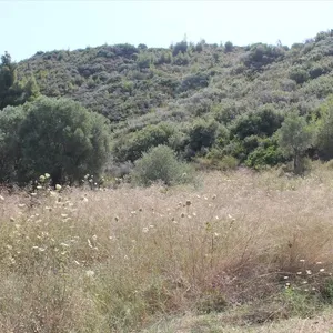 Земельный участок в Kassandra Municipality, фото 4