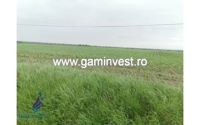 Земельный участок в Орадя