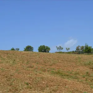 Земельный участок в Kassandra Municipality, фото 3