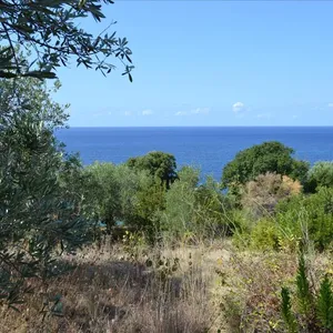 Земельный участок в Corfu, фото 2
