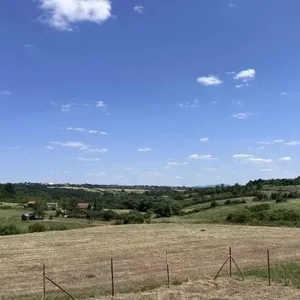 Земельный участок в Белградский, фото 4