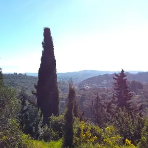 Земельный участок в Corfu, фото 4