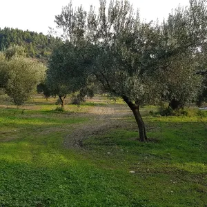 Земельный участок в Kassandra Municipality, фото 3