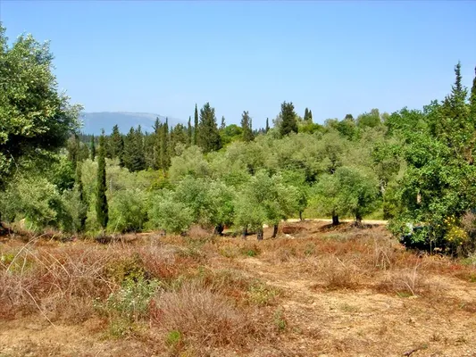 Земельный участок в Corfu