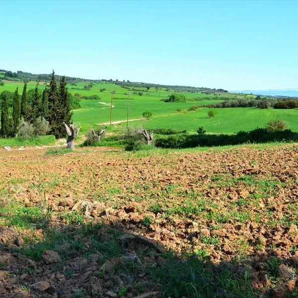 Земельный участок в Kassandra Municipality, фото 1