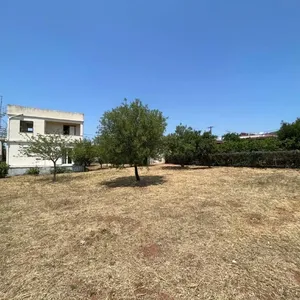 Отдельный дом в Эретрия, фото 5