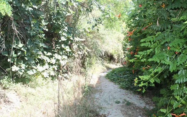 Земельный участок в Kassandra Municipality