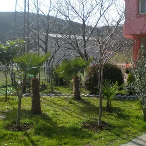 Отдельный дом в Бар, фото 2