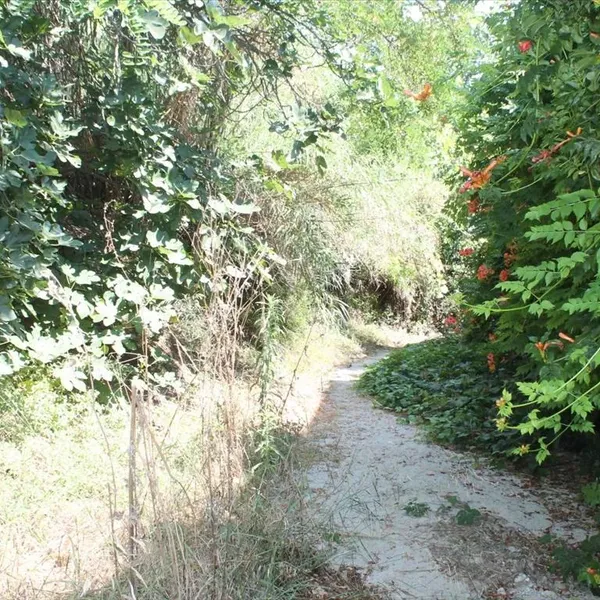 Земельный участок в Kassandra Municipality, фото 1