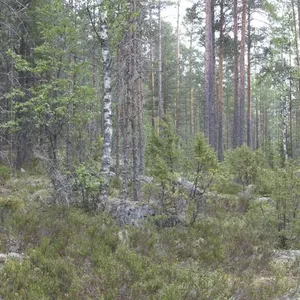 Земельный участок в Пуумала, фото 5