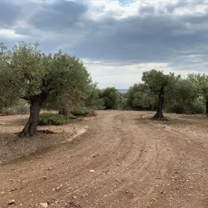 Земельный участок в Ситониа, фото 3