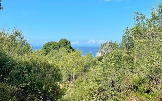 Земельный участок в Corfu