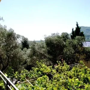 Отдельный дом в Сутоморе, фото 4