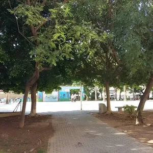 Квартира в Торревьеха, фото 2