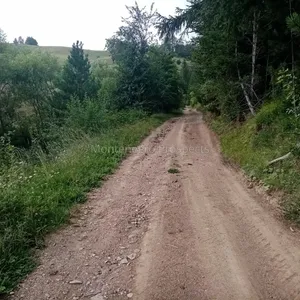 Земельный участок в Плевля, фото 2