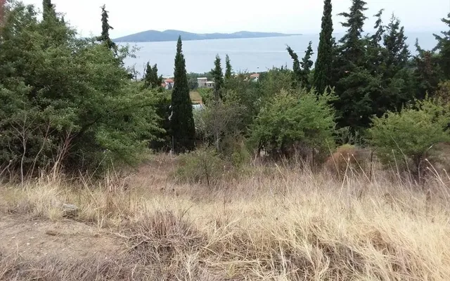 Земельный участок в Aristotle University of Thessaloniki