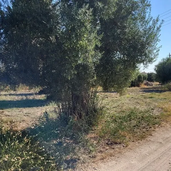 Земельный участок в Kassandra Municipality, фото 1