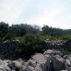 Земельный участок в Бигова, фото 2
