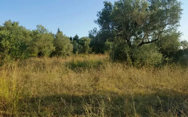 Земельный участок в Kassandra Municipality