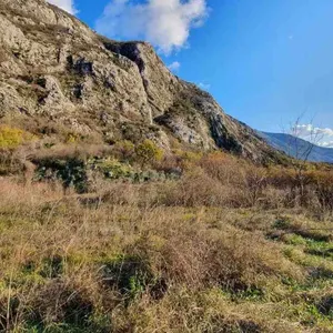 Земельный участок в Котор, фото 2
