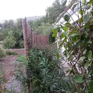 Отдельный дом в Ронда, фото 3