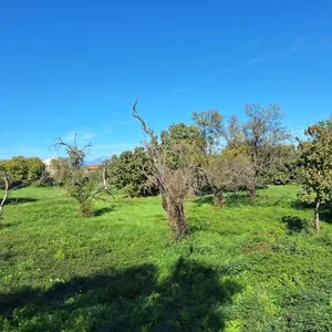 Земельный участок в Corfu, фото 3