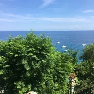 Вилла в Оспедалетти, фото 2
