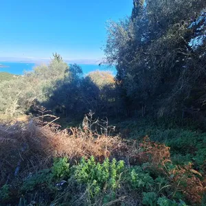 Земельный участок в Corfu, фото 5