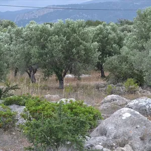 Земельный участок в Агиос Николаос, фото 3