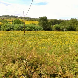 Земельный участок в Kassandra Municipality, фото 4