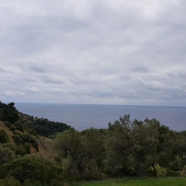Земельный участок в Kassandra Municipality, фото 2