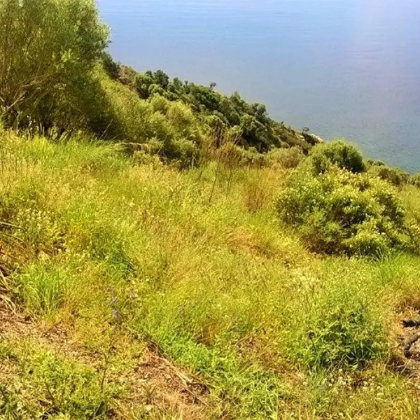 Земельный участок в Эгейские острова, фото 1