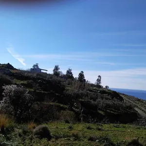 Земельный участок в Андрос, фото 4