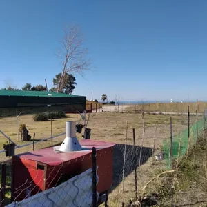 Земельный участок в Kassandra Municipality, фото 5