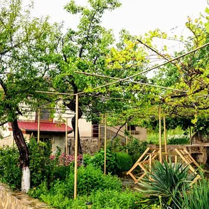 Дом в Бургасская область, фото 2