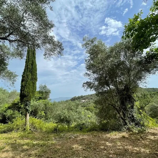 Земельный участок в Corfu, фото 1