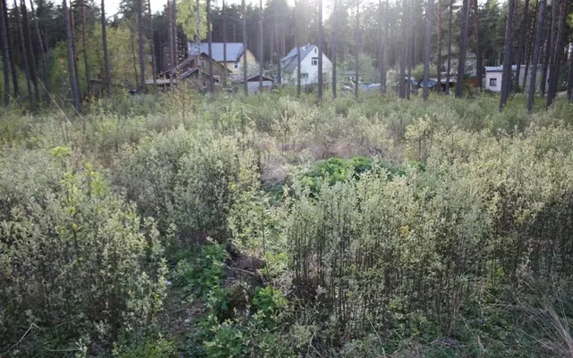 Земельный участок в Юрмала