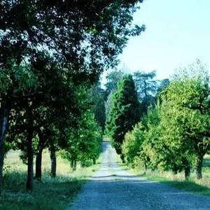 Вилла в Лукка, фото 5