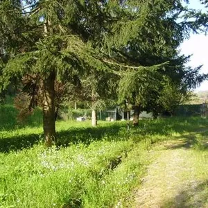 Отдельный дом в Капаннори, фото 4